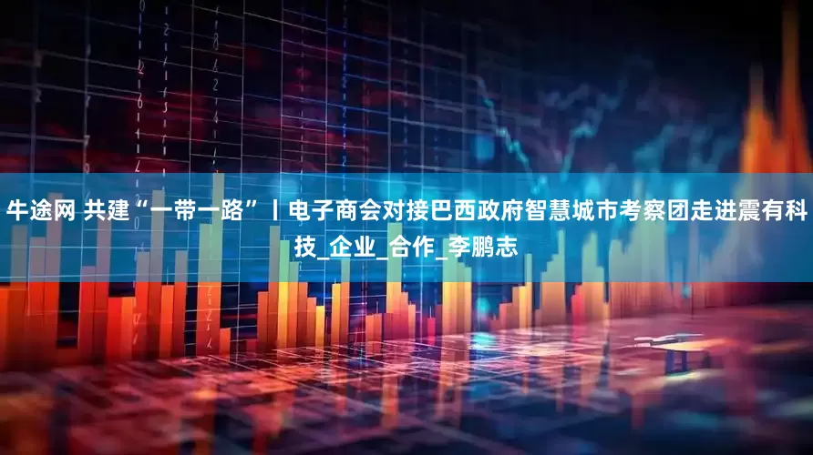 牛途网 共建“一带一路”丨电子商会对接巴西政府智慧城市考察团走进震有科技_企业_合作_李鹏志