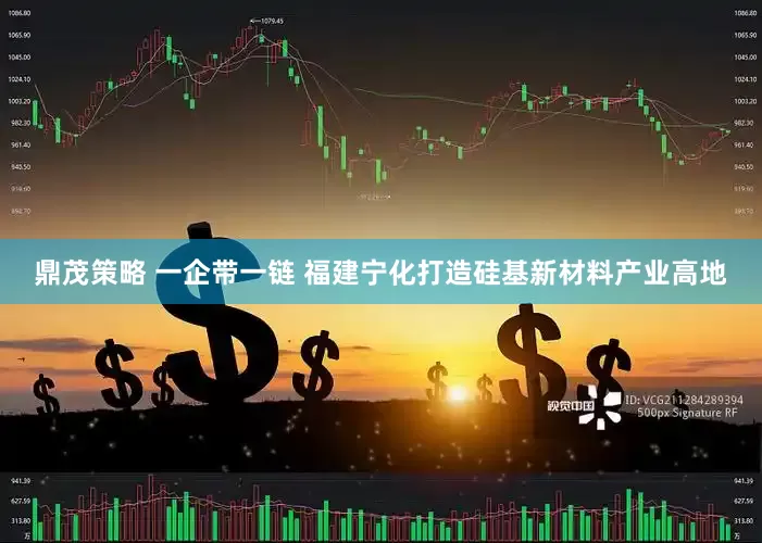 鼎茂策略 一企带一链 福建宁化打造硅基新材料产业高地