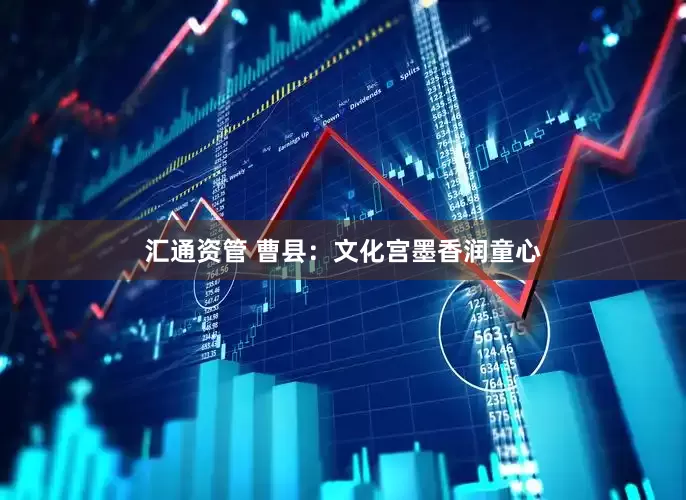 汇通资管 曹县：文化宫墨香润童心